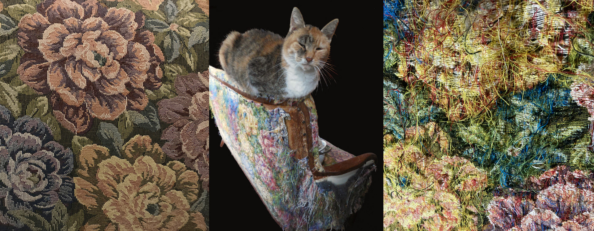 all this – Interspeziesprojekt