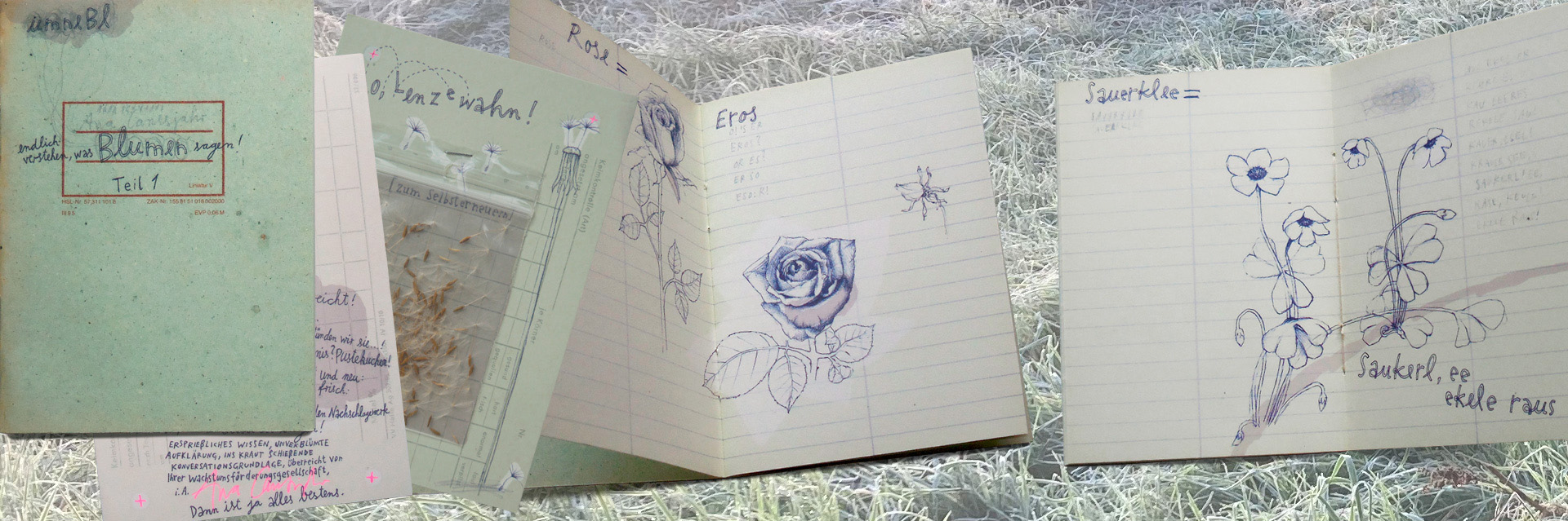 endlich verstehen, was BLUMEN sagen – Teil 1, Heftansicht