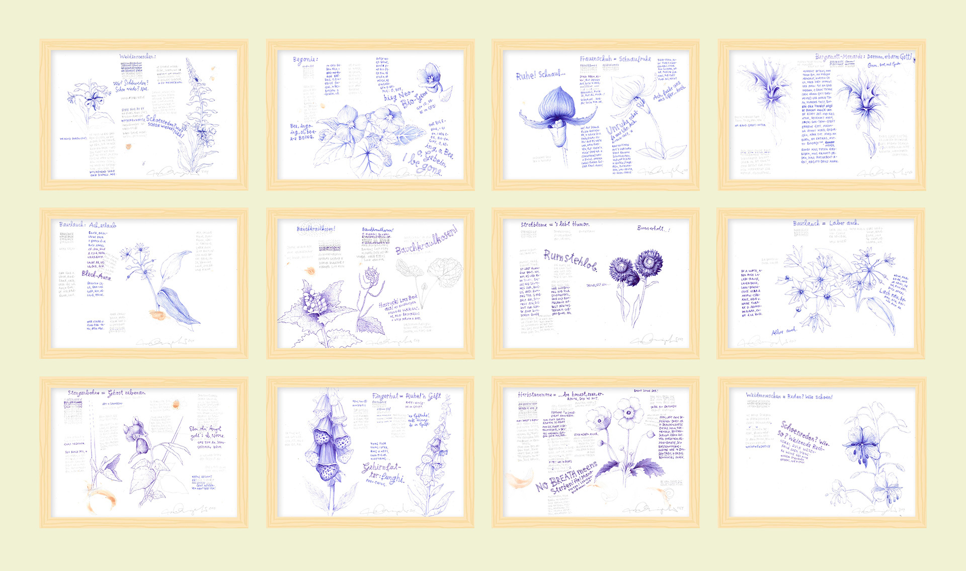 BLUMEN Ausstellungsansicht