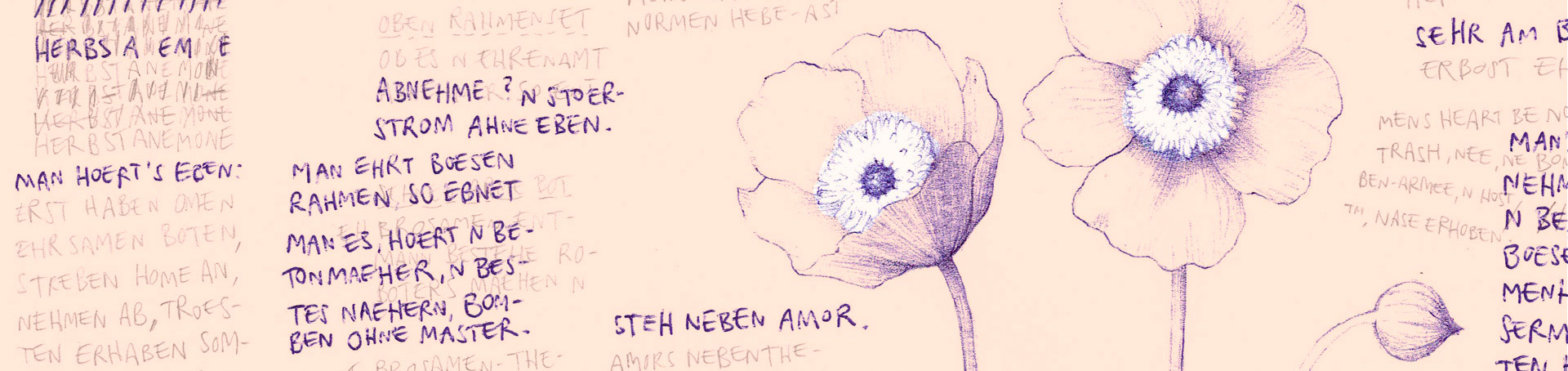 Blumen verstehen Titelbild