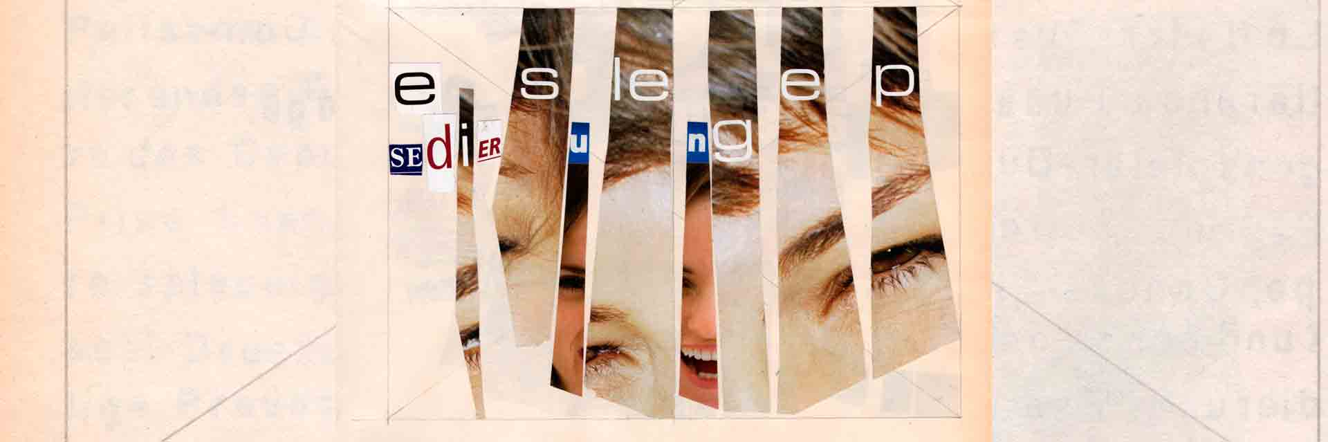 Die Lügenpresse Ausschnitt