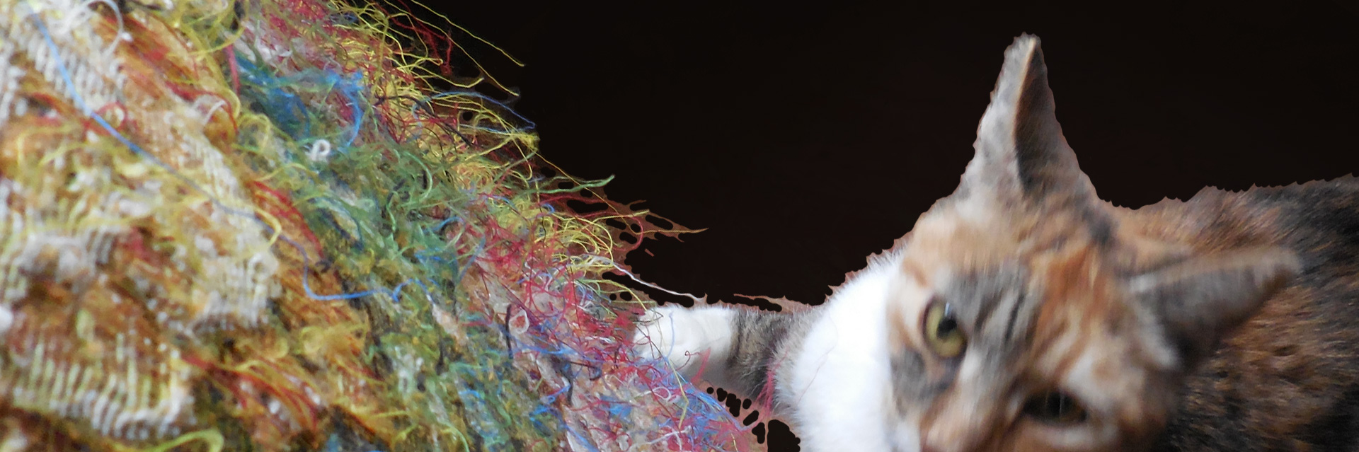 all this – Interspeziesprojekt